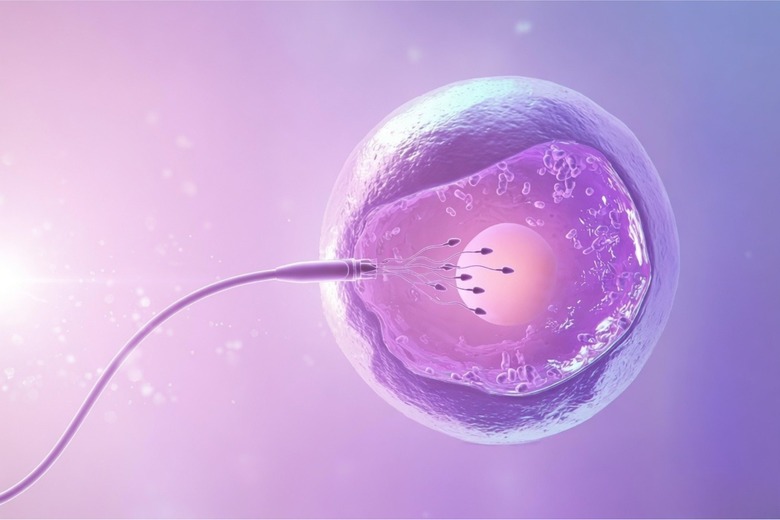 Fertility treatment