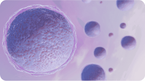 Freeze my gametes