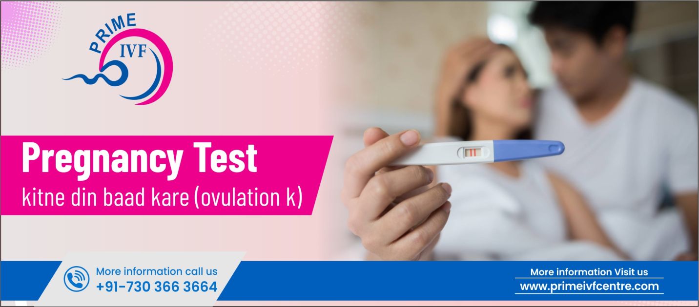 Top 10 Foods for Male Fertility in India